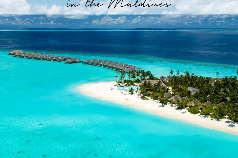 The Best Hotels in the Maldives The Best Hotels in the Maldives