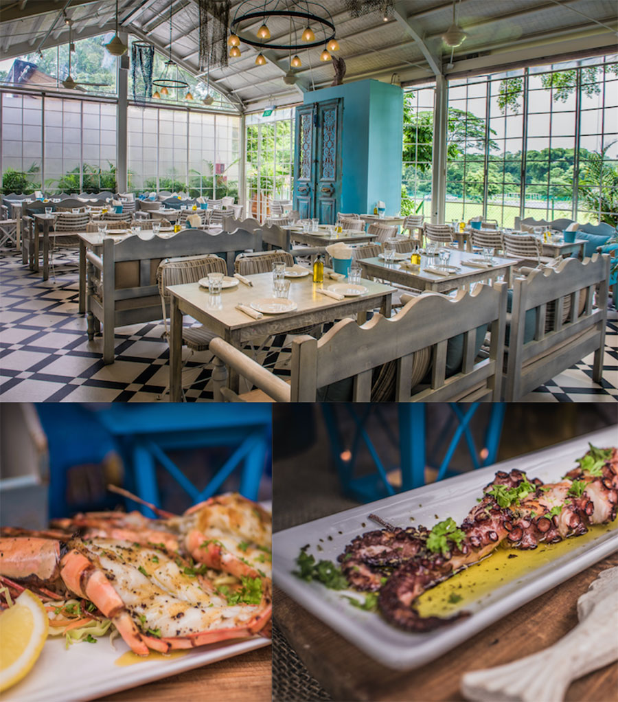 Best Restaurants in Singapore Blu Kouzina, Singapore