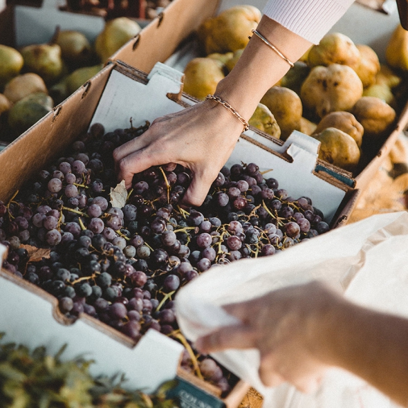 THE BEST WINE DELIVERY IN SINGAPORE by The Asia Collective